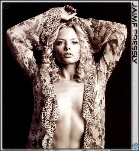 Jaime Pressly Wall Poster picture 36154