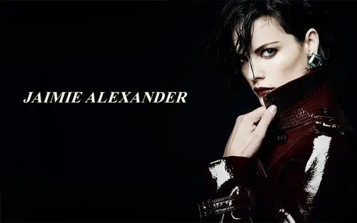 Jaimie Alexander Wall Poster picture 652255