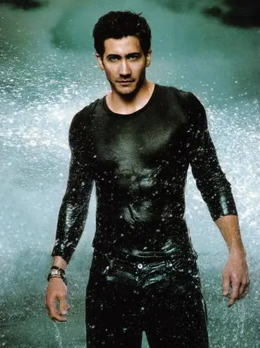 Jake Gyllenhaal Jigsaw Puzzle picture 9266
