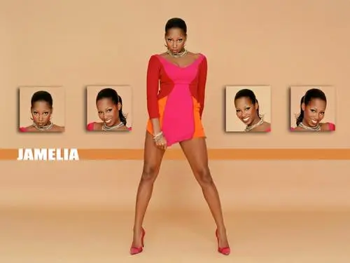 Jamelia Wall Poster picture 138489