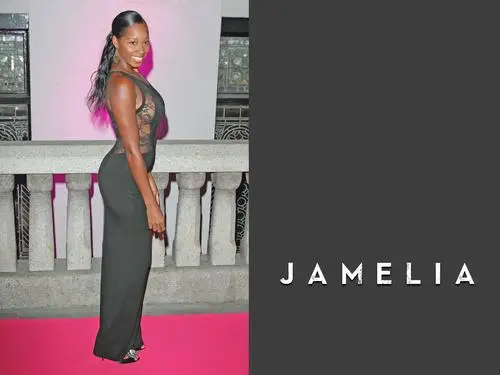 Jamelia Wall Poster picture 291834