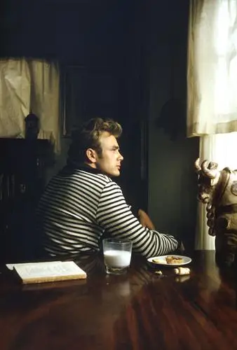 James Dean Wall Poster picture 524142