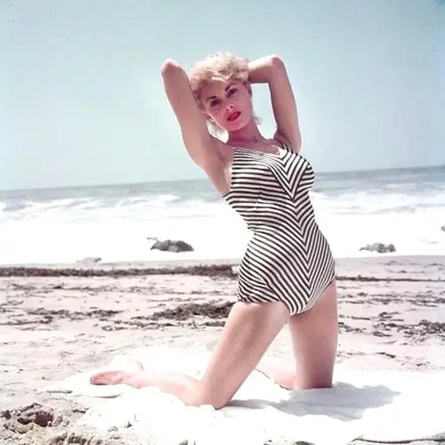 Janet Leigh Wall Poster picture 635475