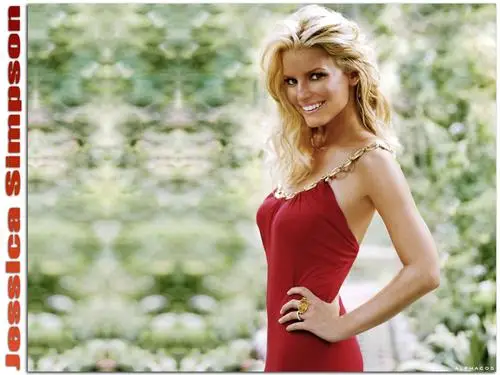 Jessica Simpson Jigsaw Puzzle picture 140957
