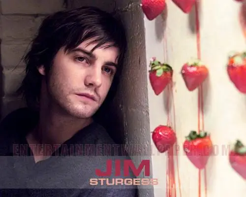 Jim Sturgess Wall Poster picture 115953