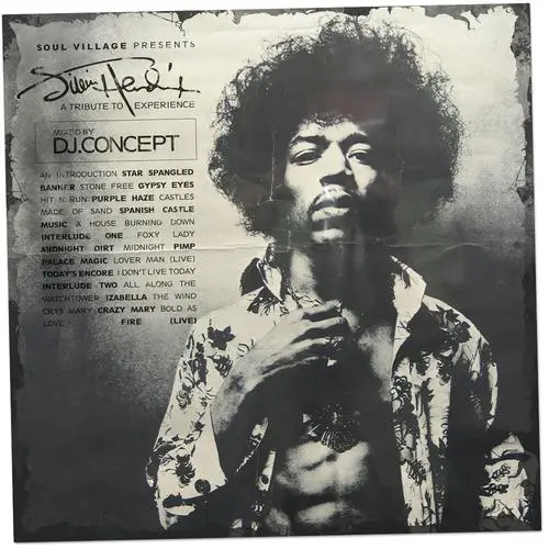 Jimi Hendrix Fridge Magnet picture 283067
