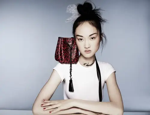 Jing Wen Wall Poster picture 362397