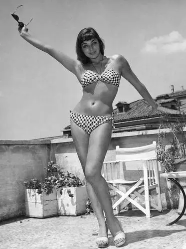 Joan Collins Image Jpg picture 97056