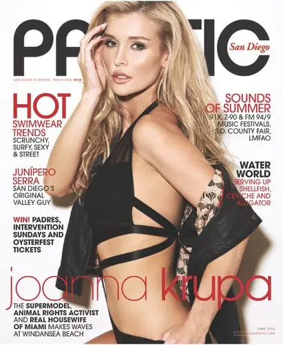 Joanna Krupa Wall Poster picture 169700