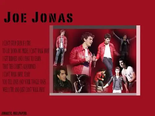 Joe Jonas Wall Poster picture 116370