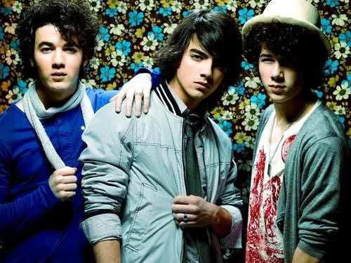 Jonas Brothers Men's Colored Hoodie - idPoster.com