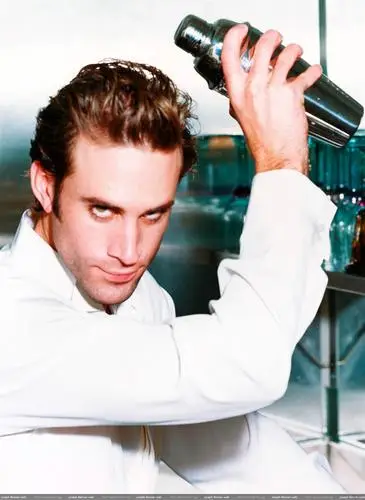Joseph Fiennes Wall Poster picture 331864