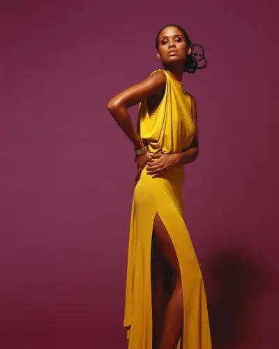 Joy Bryant Wall Poster picture 647144