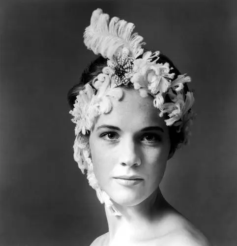 Julie Andrews Wall Poster picture 334978