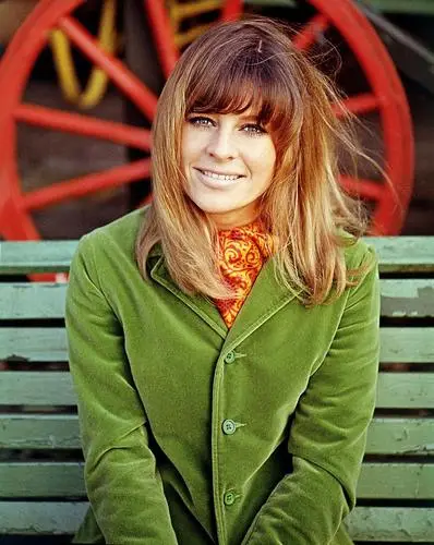 Julie Christie Wall Poster picture 250067
