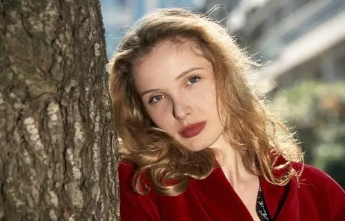 Julie Delpy Wall Poster picture 650661