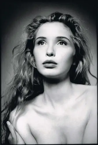 Julie Delpy Wall Poster picture 88443