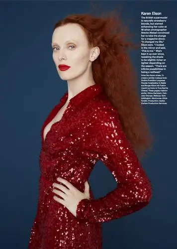 Karen Elson Wall Poster picture 1022641