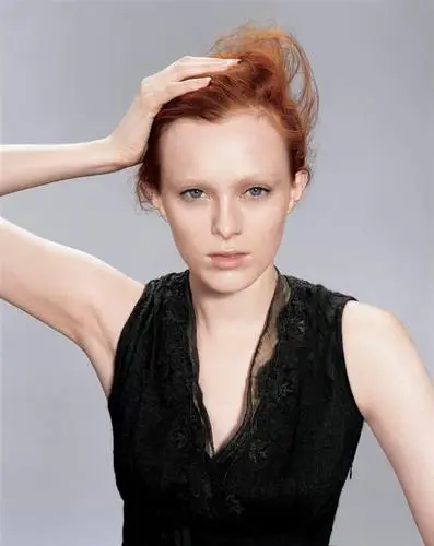 Karen Elson Wall Poster picture 70537