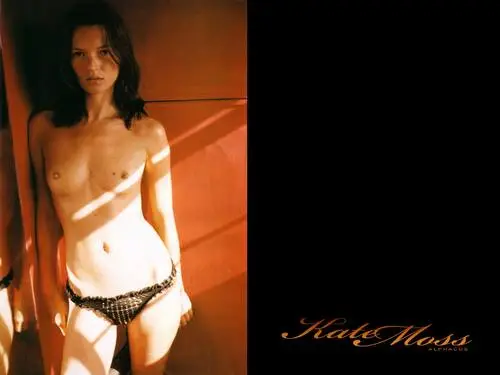 Kate Moss Jigsaw Puzzle picture 142141