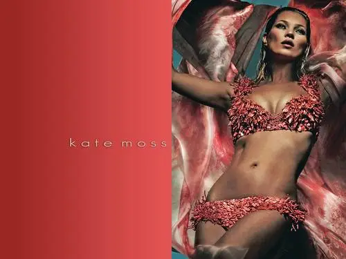 Kate Moss Jigsaw Puzzle picture 174807
