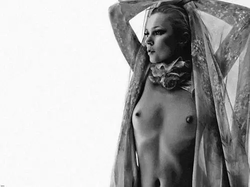 Kate Moss Fridge Magnet picture 174809