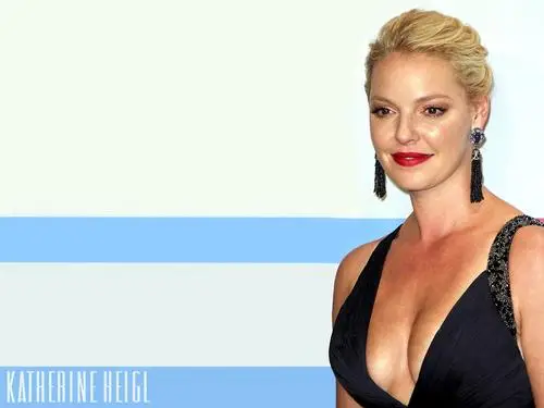 Katherine Heigl Wall Poster picture 142342