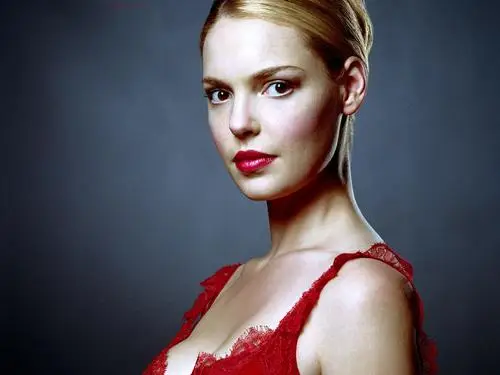 Katherine Heigl Jigsaw Puzzle picture 363409
