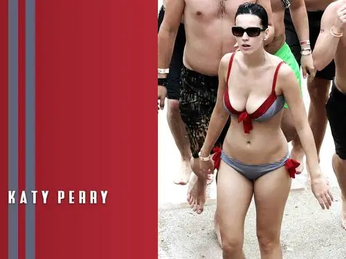 Katy Perry Baseball Cap - idPoster.com