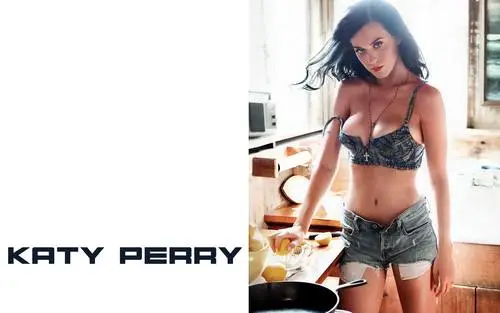 Katy Perry Baseball Cap - idPoster.com