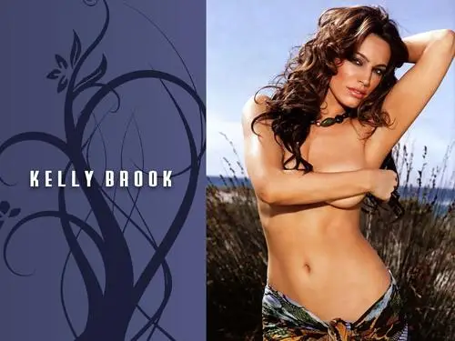 Kelly Brook Wall Poster picture 143541