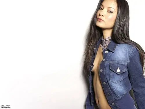 Kelly Hu Jigsaw Puzzle picture 143666