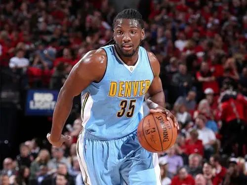 Kenneth Faried Wall Poster picture 716165