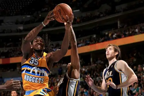 Kenneth Faried Wall Poster picture 716178