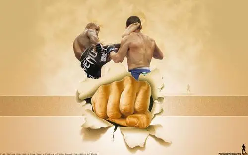 Kickboxing Wall Poster picture 217830