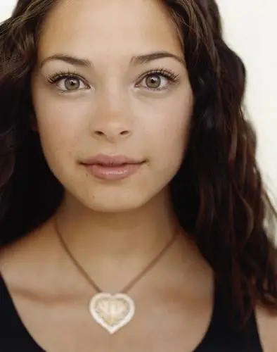 Kristin Kreuk Wall Poster picture 40072