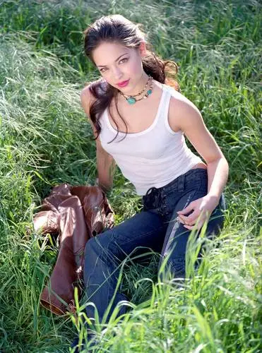 Kristin Kreuk Wall Poster picture 40121