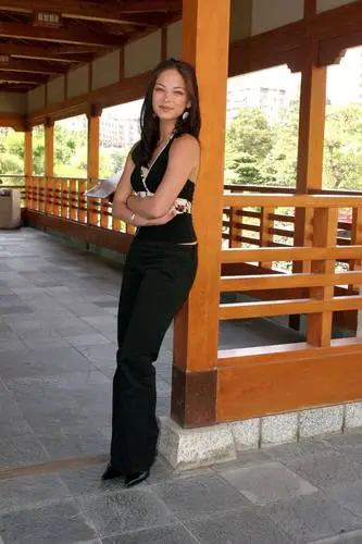 Kristin Kreuk Wall Poster picture 455842
