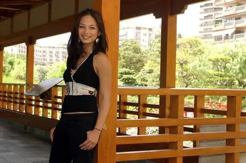 Kristin Kreuk Wall Poster picture 455846