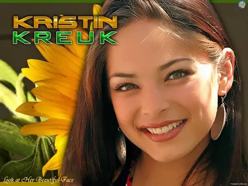 Kristin Kreuk Wall Poster picture 97513