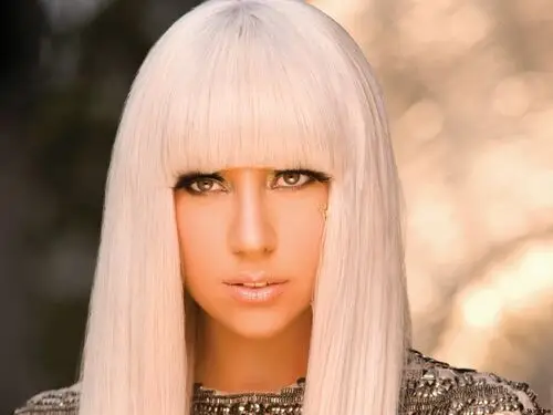 Lady Gaga Jigsaw Puzzle picture 144768