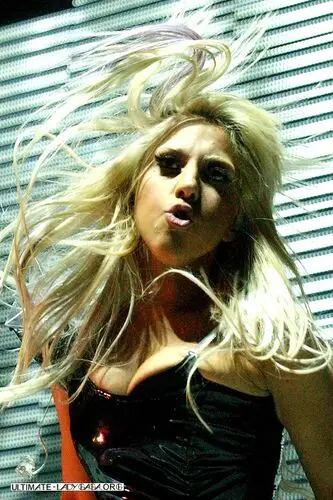 Lady Gaga Fridge Magnet picture 145138
