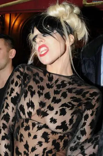 Lady Gaga Fridge Magnet picture 145198