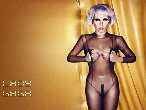 Lady Gaga Computer MousePad picture 145441