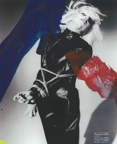 Lady Gaga Fridge Magnet picture 25912