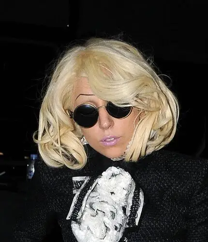 Lady Gaga Fridge Magnet picture 305520