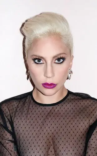 Lady Gaga Fridge Magnet picture 456282