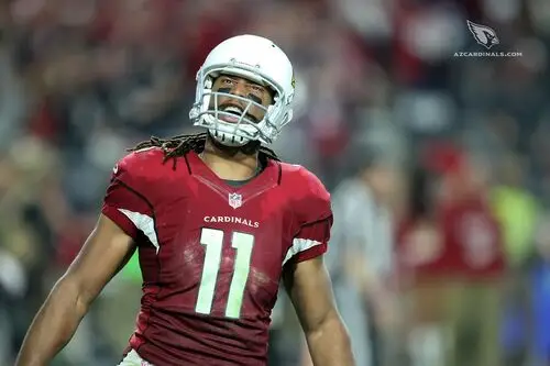 Larry Fitzgerald Image Jpg picture 719958