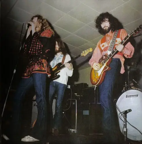 Led Zeppelin Men's Colored T-Shirt - idPoster.com