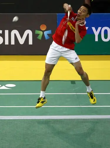 Lee Chong Wei Computer MousePad picture 145737